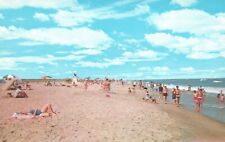 Chincoteague-Assateague Beach, Virginia, VA, Chrome Vintage Postcard a6141 picture