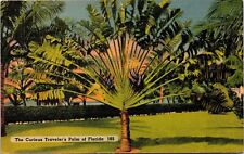 Curious Travelers Palm Tree Florida Tropical Linen Cancel WOB Postcard picture