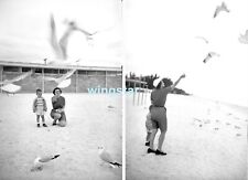 2 Old Photo Negs Mom Son Toddler Feeding Seagulls Birds Beach Action Vintage picture