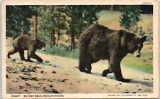 Mother Bear and Cub Hiking, Yellowstone Park, Wyoming Postcard Postmarked 1939 picture
