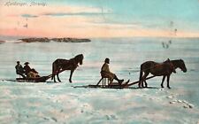 Vintage Postcard 1909 Old Snow Transportation by Horse Hardanger Norway picture