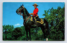 Chrome Postcard Royal Canadian Mounted Police Officer On Horse Mounties picture