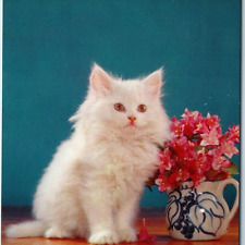 c1960s Adorable Kitty Kat Cute White Cat Little Kitten Fancy Fur Flower Vtg A227 picture