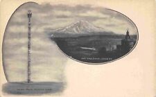 Mt Tacoma Totem Pole Washington 1905c Albertype postcard picture