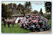 c1910 Park Scene Winter Horse Carriage Flower Garden Pomona California Postcard picture