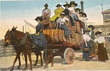 Hauling Cotton & Sugar To Market 1920s Postcard New Orleans Louisiana LA picture
