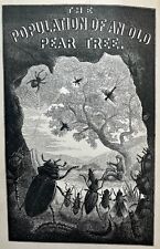 1870 POPULATION OF AN OLD PEAR TREE ENTOMOLOGY INSECTS ILLUSTRATED 1ST EDITION picture