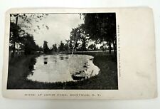 Postcard NEW YORK 1905 Erwin Park BOONVILLE undivided Back Posted LITHO picture