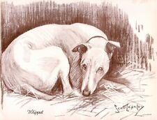 DOG Whippet Snap Hound, Beautiful 1930s Art Print by Nina Scott-Langley picture