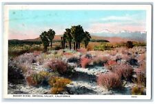 c1960s Desert Scene Imperial Valley California CA Unposted Vintage Postcard picture