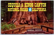 Postcard - General Sherman Tree, Sequoia & Kings Canyon National Parks, CA picture
