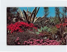 Postcard Color on the Range Garden of Flowers & Plants picture