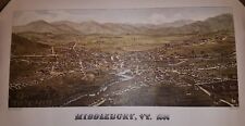 Middlebury Vermont 1886 Print Birds Eye View VT picture