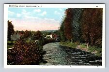 Ellenville NY- New York, Bearskill Creek, Antique, Vintage Souvenir Postcard picture