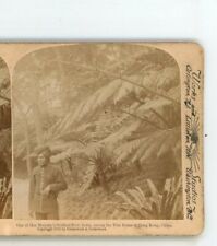 Her Majesty's Soldier from India Tree Ferna Hong Kong China Underwood Stereoview picture