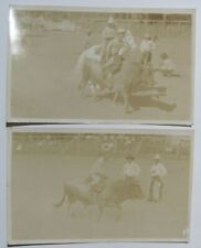 Two Real Photo Postcards Midget Cowboy Rodeo Bull Riding RPPC 1925-1942 picture