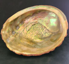 Beautiful Large Vintage Abalone Shell Mother of Pearl Dish Bowl 7.5