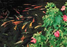 Suizenji Park Japanese Postcard - Zyojuen Kumamoto Pond Gold Fish Vtg #42 picture