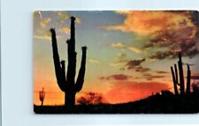 Postcard - Desert Sunset picture