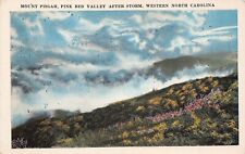 Asheville NC Mount Pisgah National Forest Pink Bed Valley Vtg Postcard C14 picture