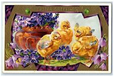1909 Easter Greetings Baby Chicks Flowers Embossed Green Isle Minnesota Postcard picture