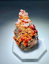 ***FANTASTIC-Sparkling Calcite on Red Vanadinite crystals, mine Arizona*** picture