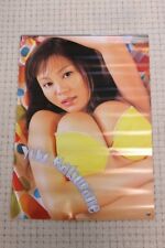 Extremely rare　Yoko Matsugane 2005 Calendar picture