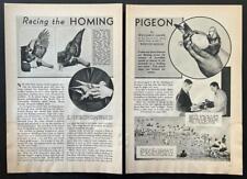 “Racing the Homing Pigeon” 1935 Pictorial American Racing Pigeon Union ARPU picture