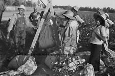 1935 Black Cotton Pickers PHOTO Great Depression Black Farmers Kids Arkansas picture
