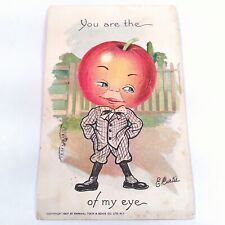 The Garden Patch Valentine -Apple of My Eye- E. Curtis Postcard Copyright 1907 picture