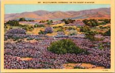 Purple Winter Wildflowers Desert Sand Verbenas Mojave Sonoran Teich '33 Postcard picture