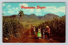 Sugar Growing In Sugar Fields In Hawaii  Vintage Souvenir Postcard picture