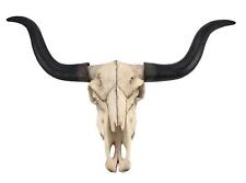 Long Horn Cow Skull Wall Hanging Longhorn Steer picture