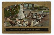 Pretty Lady Feeding Chickens Gold Border Postcard picture
