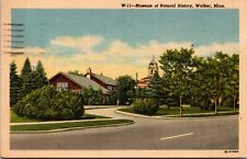 Postcard Walker Minnesota Museum of Natural History C1950s Posted 1962 Linen picture