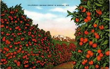 California Orange Grove in Winter Postcard With Snow Capped Mountains picture