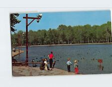 Postcard Wild Duck Pond Ridgewood New Jersey USA picture