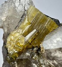 287 Grams Beautiful Yellow Tourmaline Crystals On Matrix From Afghanistan picture