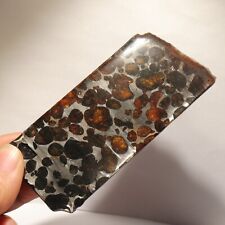 35g Rare slices of Kenyan Pallasite olive meteorite  A57 picture