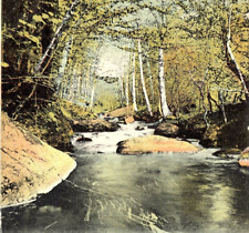 Vintage Postcard New Hampshire, Ammi Brook, Henniker  N.H. - c1920 picture