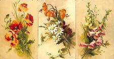 Lot of 3 Catharina KLEIN artist signed postcards flowers fantasy poppy blossom picture