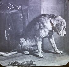 Friend in Suspense (Dog), Sir Edwin Henry Landseer,  Magic Lantern Glass Slide picture
