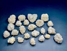 2164 Gram 23 pieces of COVID shape Quartz crystals specimens from Skardu Pak. picture
