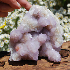 5.5in 1.9lb XL Amethyst Spirit Quartz Crystal Cluster, South Africa picture