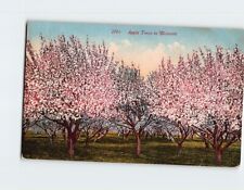 Postcard Apple Trees in Blossom picture