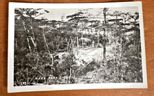 Lot (2) Antique Unused RPPC 1930's JAPAN Postcards, unused picture