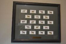 1933 Derby & Grand National Winners Cigarette Cards Beautifully Framed picture