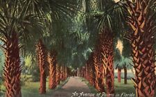 Postcard FL An Avenue of Palms in Florida Divided Back Unposted Vintage PC H7351 picture