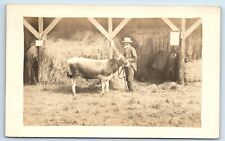 Postcard Farmer with Livestock, Cattle, Hay Stack, Stables c1907-1917 RPPC F176 picture