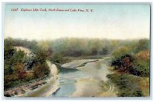 c1910 Eighteen Mile Creek North Evans and Lake View New York NY Postcard picture